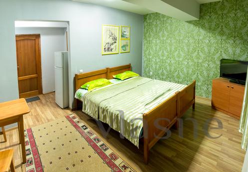 Modern studio apartment